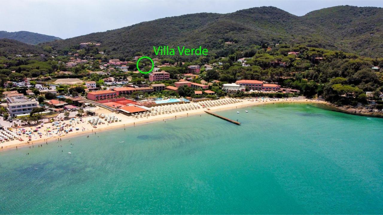 Verde